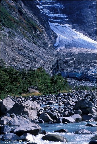 CILE - CHILE - PATAGONIA - Parco Nazionale Torres del Paine - Rio Frances, dietro il Glaciar Frances che scende dal Paine Grande