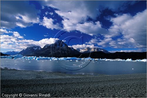 CILE - CHILE - PATAGONIA - Parco Nazionale Torres del Paine - Lago Grey con i ghiacci galleggianti che si staccano dal ghiacciao Grey e finiscono sulla spiaggia opposta - in fondo il gruppo del Paine