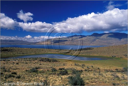 CILE - CHILE - PATAGONIA - Parco Nazionale Torres del Paine - Laguna Guanaco e Lago Sarmiento de Gamboa, dietro la Sierra del Toro