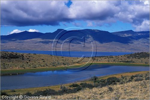 CILE - CHILE - PATAGONIA - Parco Nazionale Torres del Paine - Laguna Guanaco e Lago Sarmiento de Gamboa, dietro la Sierra del Toro