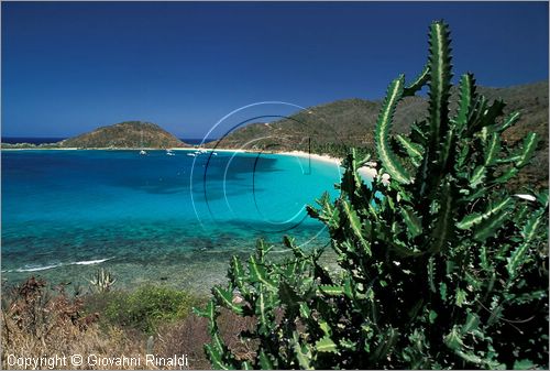 CARAIBI - ISOLE VERGINI BRITANNICHE - PETER ISLAND - Deadman Bay