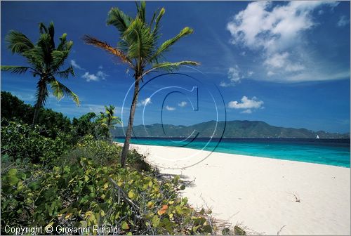 CARAIBI - ISOLE VERGINI BRITANNICHE - SANDY CAY - isolotto vicino a Jost Van Dyke