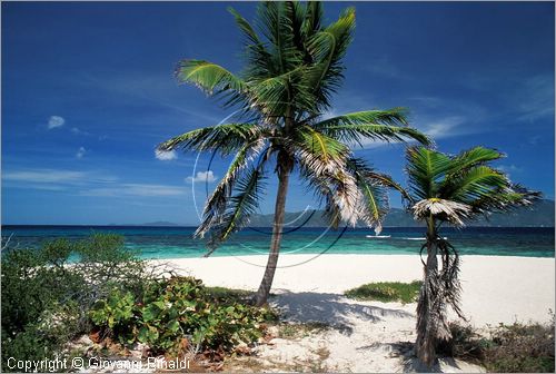 CARAIBI - ISOLE VERGINI BRITANNICHE - SANDY SPLIT - isolotto vicino a Jost Van Dyke