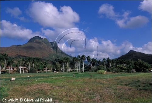 CUBA - (Trinidad) - Banao - panorama (sulla strada per Sancti Spiritu)