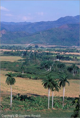 CUBA - (Trinidad) - Valle di San Luis - panorama (sulla strada per Sancti Spiritu)