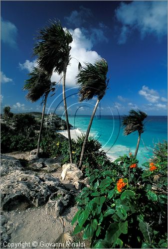 MEXICO - YUCATAN - Area archeologica di Tulum, antica citt costiera Maya-Tolteca (1100 d.C.) - la spiaggia e il Tempio del Dio del Vento