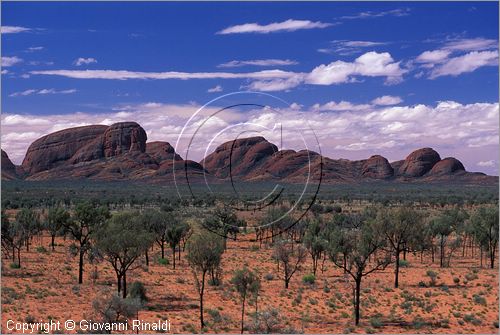 AUSTRALIA CENTRALE - Uluru Kata Tjuta National Park - Monti Olgas - il gruppo dei monti visti da sud-est