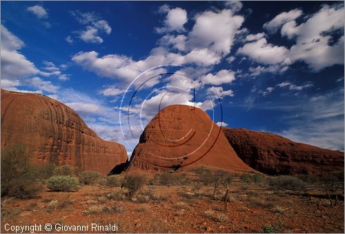 AUSTRALIA CENTRALE - Uluru Kata Tjuta National Park - Monti Olgas - veduta da ovest