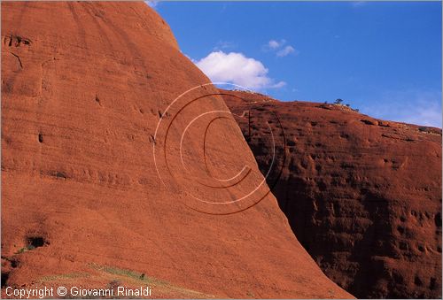 AUSTRALIA CENTRALE - Uluru Kata Tjuta National Park - Monti Olgas - veduta da ovest