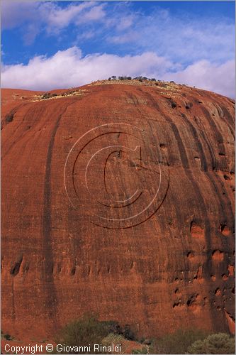 AUSTRALIA CENTRALE - Uluru Kata Tjuta National Park - Monti Olgas - veduta da ovest