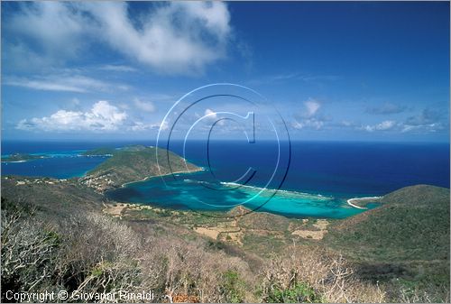 CARAIBI - ISOLE VERGINI BRITANNICHE - ISOLA DI VIRGIN GORDA - Saund Reef