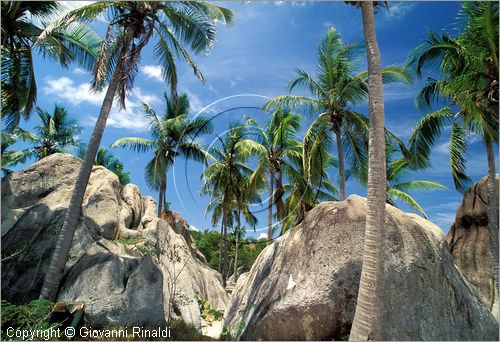 CARAIBI - ISOLE VERGINI BRITANNICHE - ISOLA DI VIRGIN GORDA - Spring Bay