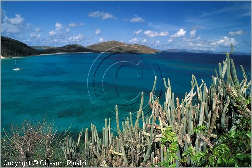 CARAIBI - ISOLE VERGINI BRITANNICHE - ISOLA DI VIRGIN GORDA - Pond Bay e Savannah Bay