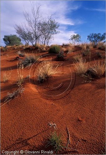 AUSTRALIA CENTRALE - Watarrka National Park - paesaggio con la sabbia rossa