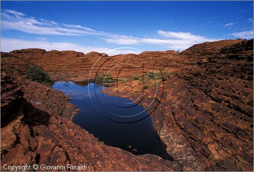 AUSTRALIA CENTRALE - Watarrka National Park - paesaggio sul bordo superiore del Kings Canyon - una pozza d'acqua si  formata tra le erosioni della roccia rossa