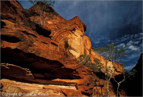 AUSTRALIA CENTRALE - Watarrka National Park - paesaggio del Kings Creek all'interno del Kings Canyon