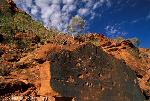 AUSTRALIA CENTRALE - Watarrka National Park - paesaggio del Kings Creek all'interno del Kings Canyon