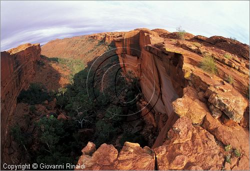 AUSTRALIA CENTRALE - Watarrka National Park - il bordo superiore della parete del Kings Canyon