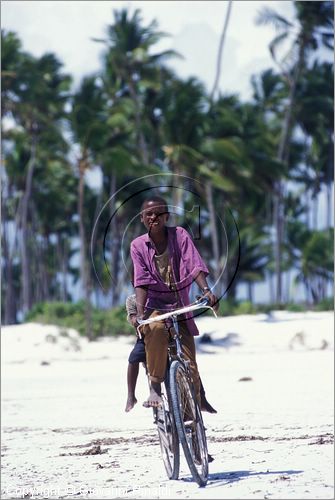 TANZANIA - ZANZIBAR  (Oceano Indiano) - Matemwe - costa est