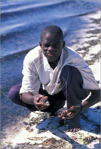 TANZANIA - ZANZIBAR  (Oceano Indiano) - Matemwe - costa est - un ragazo vende conchiglie sulla spiaggia