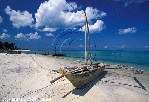 TANZANIA - ZANZIBAR  (Oceano Indiano) - Bububu - costa ovest - la spiaggia presso la casa "Salome's Garden"