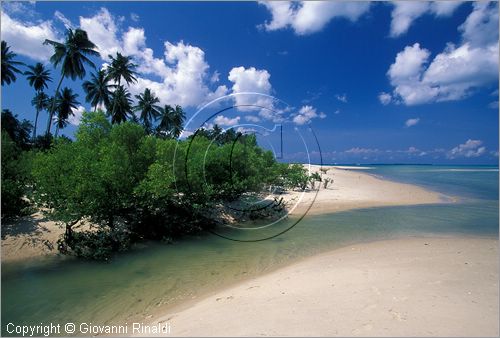 TANZANIA - ZANZIBAR  (Oceano Indiano) - Bububu - costa ovest - - la spiaggia presso la casa "Salome's Garden"