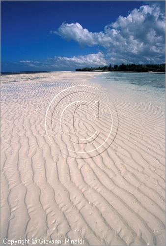 TANZANIA - ZANZIBAR  (Oceano Indiano) - Kizimkazi (estremit sud dell'isola) - durante la bassa marea rimane un velo d'acqua sulla sabbia bianca che si estende per chilometri