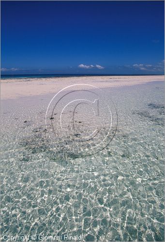 TANZANIA - ZANZIBAR  (Oceano Indiano) - Kizimkazi (estremit sud dell'isola) - durante la bassa marea rimane un velo d'acqua sulla sabbia bianca che si estende per chilometri