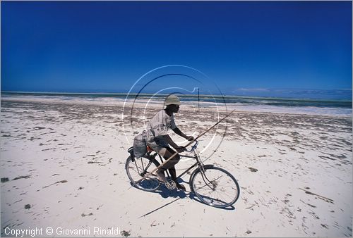 TANZANIA - ZANZIBAR  (Oceano Indiano) - Bwejuu - costa est - si sfrutta la bassa marea per muoversi in bicicletta