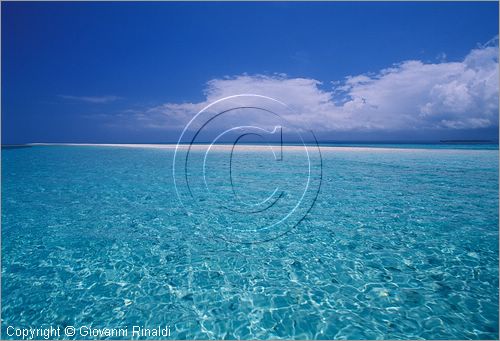 TANZANIA - ZANZIBAR  (Oceano Indiano) - una piccola isola di sabbia bianca emerge con la bassa marea vicino a Bawe Island