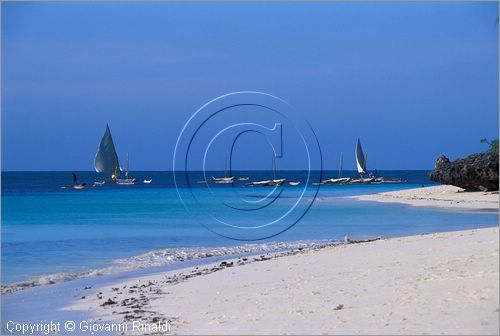 TANZANIA - ZANZIBAR  (Oceano Indiano) - Nungwi - costa nord - la zona che affaccia ad ovest con la guesthouse per i giovani che fanno attivit subacquee