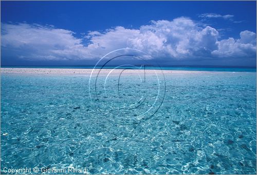 TANZANIA - ZANZIBAR  (Oceano Indiano) - una piccola isola di sabbia emerge con la bassa marea vicino a Bawe Island