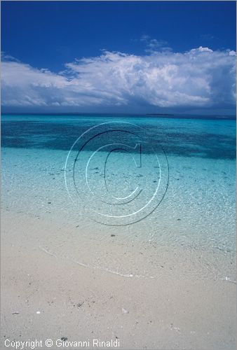 TANZANIA - ZANZIBAR  (Oceano Indiano) - una piccola isola di sabbia emerge con la bassa marea vicino a Bawe Island